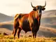 die-staerke-des-krafttiers-vom-stier-ein-symbol-fuer-durchhaltevermoegen